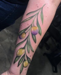 an olive branch tattoo on the forearm